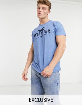 blue hollister shirt
