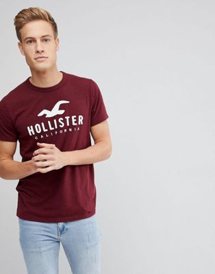 Hollister Large Logo T-Shirt in 