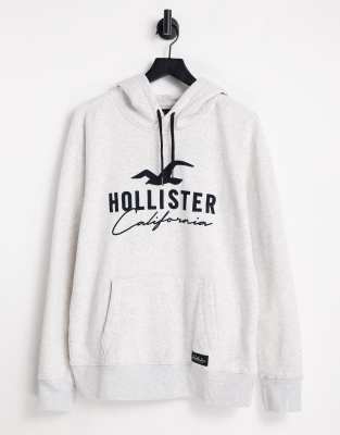 hollister hoodies boys