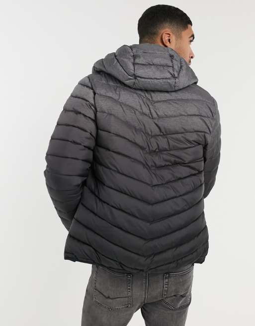 Hollister grey puffer jacket new arrivals