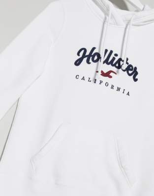 hollister hoodie logo