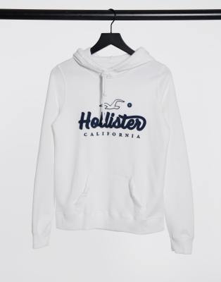 hollister hoodie logo