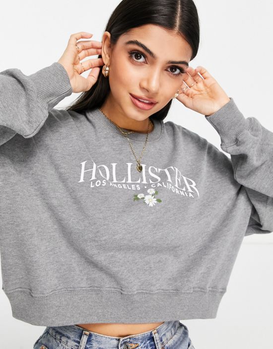 https://images.asos-media.com/products/hollister-logo-sweatshirt-in-gray/23707485-2?$n_550w$&wid=550&fit=constrain