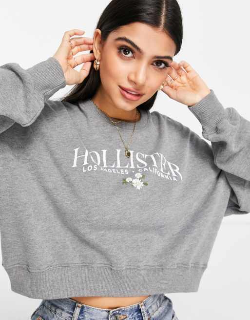 Sweat shirt hollister discount
