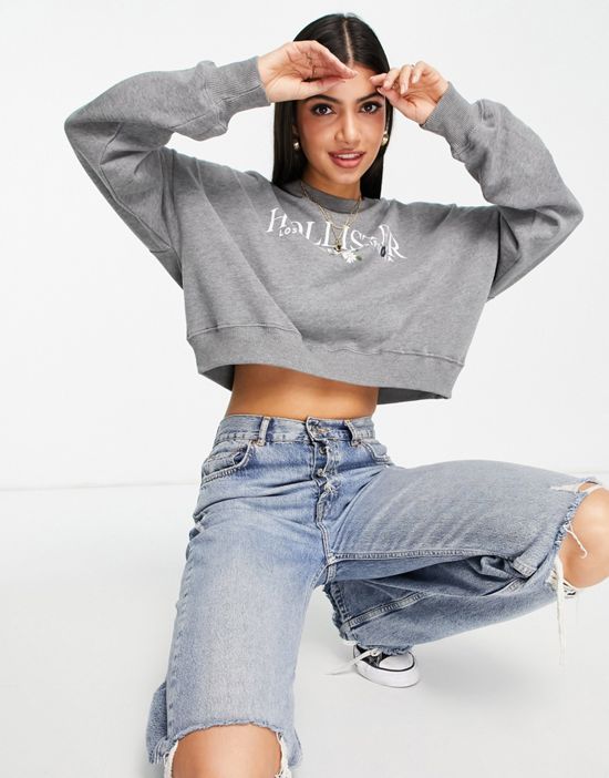 https://images.asos-media.com/products/hollister-logo-sweatshirt-in-gray/23707485-3?$n_550w$&wid=550&fit=constrain