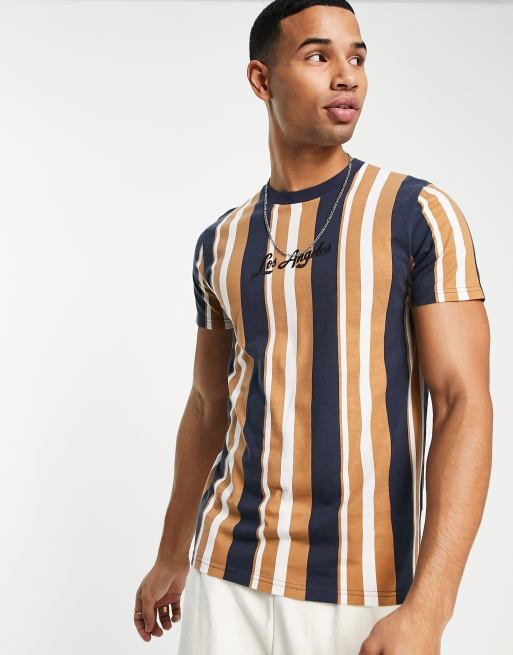 Hollister Los Angeles script stripe t-shirt in blue and brown