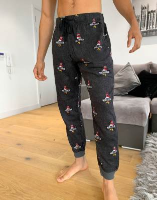 hollister mens lounge pants