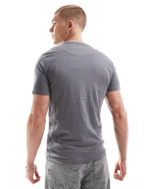 Hollister – Mellangrå t-shirt med klassisk logga, 4 av 4