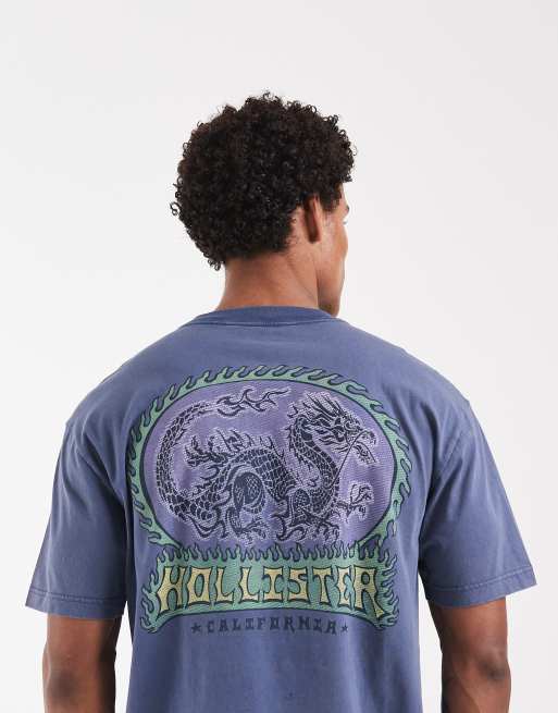 Hollister New York back graphic t-shirt in dark blue
