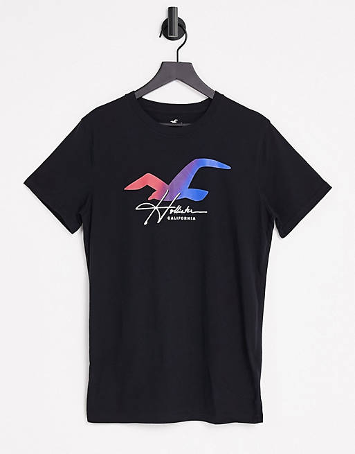 Hollister ombre seagull logo t-shirt in black