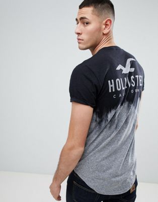 Hollister x ASOS exclusive centre logo ombre curved hem t-shirt in