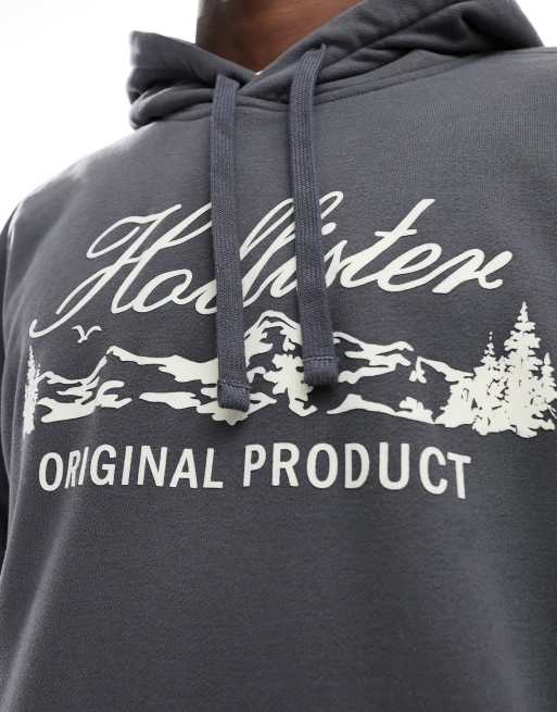 Hoodie hollister original hotsell