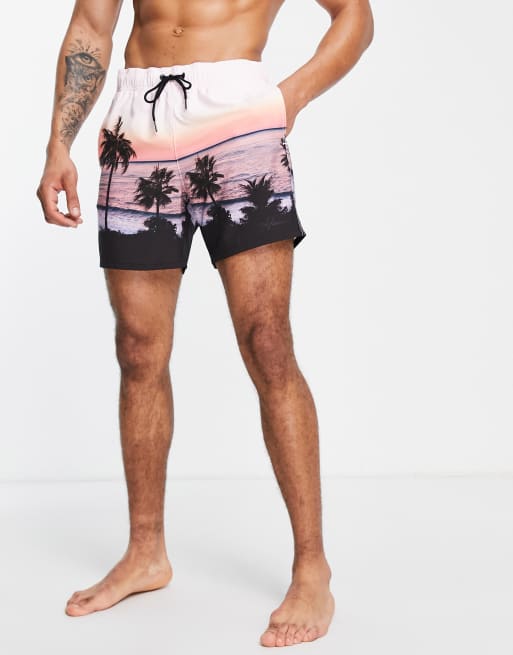 Hollister - Pantaloncini da bagno con stampa con spiaggia e logo piccolo, 4 di 4