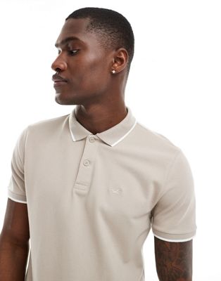 Hollister polo shirt with tipping in stone