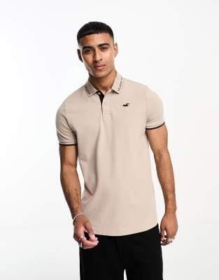 Hollister icon logo varsity tipping pique polo in beige - ASOS Price Checker