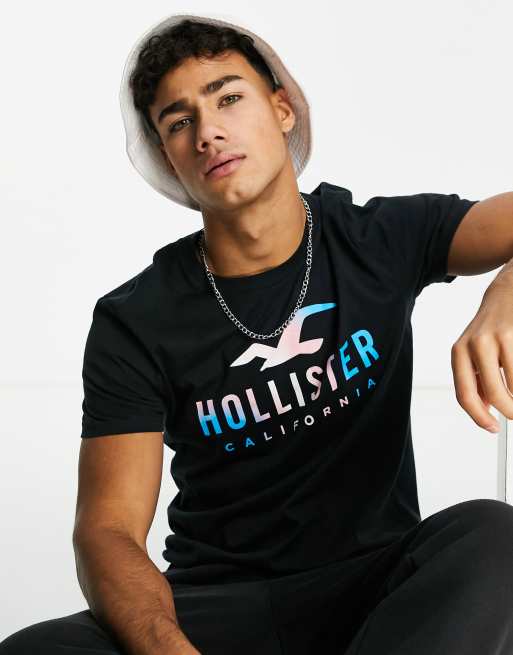 Hollister pride t shirt best sale