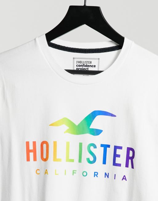 Hollister pride shirts clearance