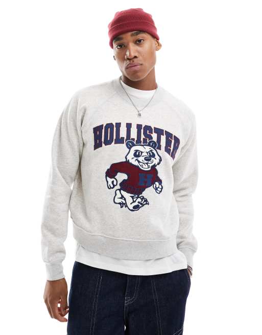 Hollister - Rechte cropped sweatertop met logo en motief in grijs