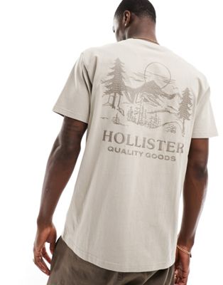 Hollister relaxed fit t-shirt with embriodered back print in beige