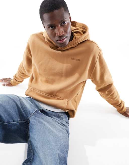 Hollister Ruimvallende hoodie met klein logo en ritszak in lichtbruin
