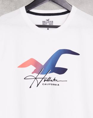 hollister logo