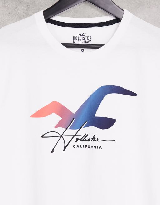 Hollister eagle shop