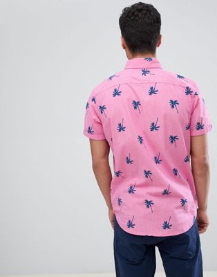 hollister palm tree shirt