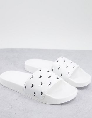 Hollister sliders with all over logo in white