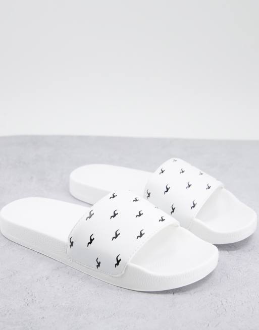 Hollister sale slip ons