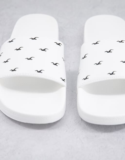 White hollister shoes deals