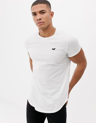 curved hem t shirt hollister