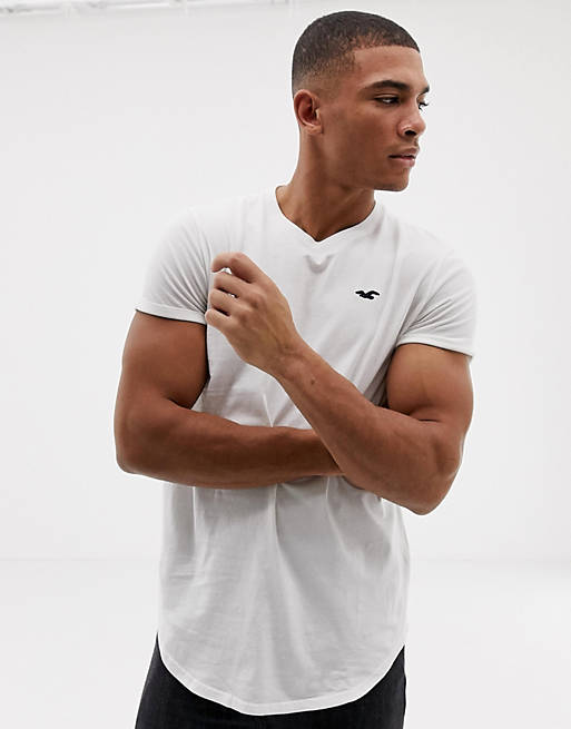 Hollister solid curved hem t-shirt seagull logo slim fit in white | ASOS