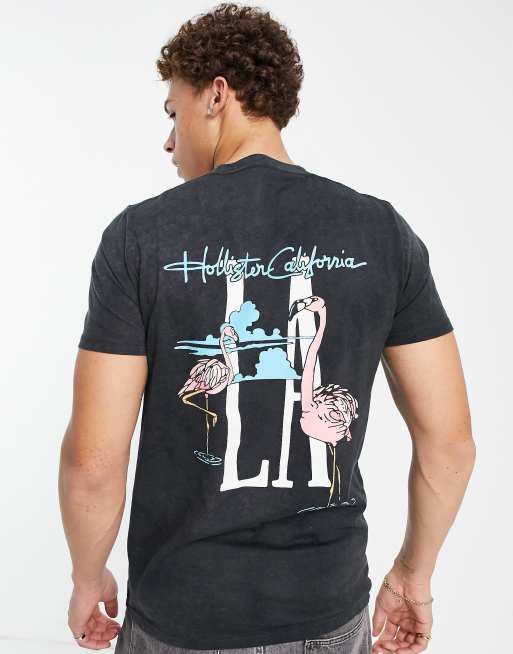 Hollister - Spring Daze - T-shirt nera slavata con scritta 