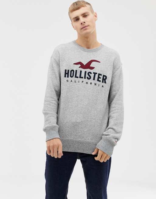Pull hollister garcon hotsell