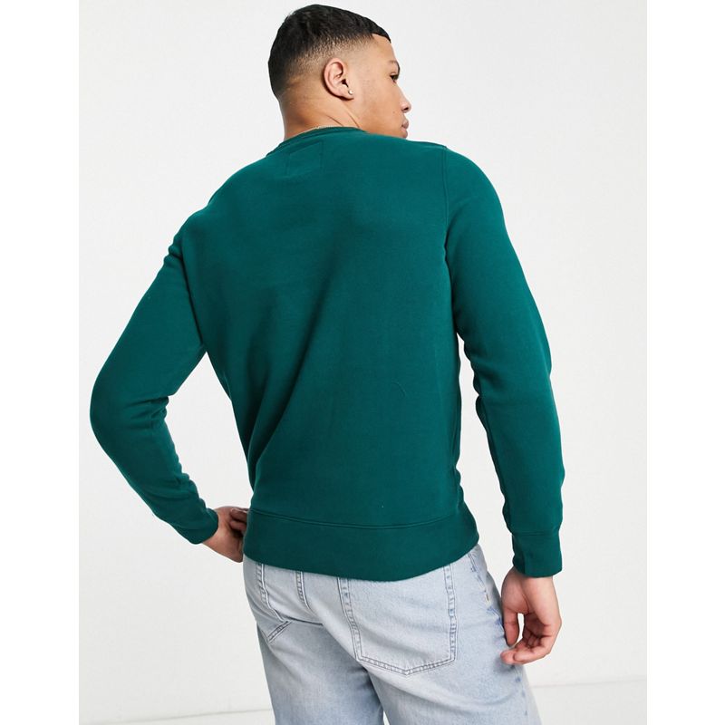 Hollister – Sweatshirt in Grün mit Brusteinsatz und Logo