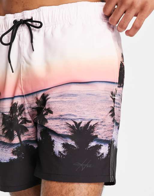 Hollister bathing suits mens shop