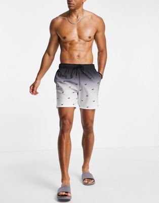 Hollister swim shorts in black ombre with all over logo - ASOS Price Checker