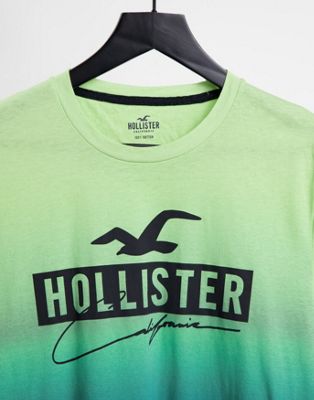 Homme Hollister - T-shirt ombré à logo - Vert