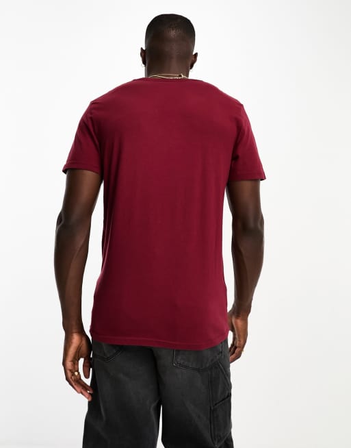 Hollister T shirt ras de cou motif mouette Bordeaux