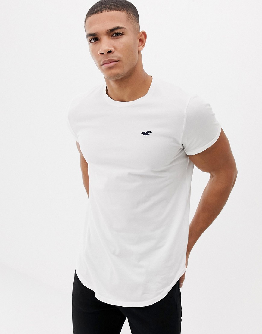 Hollister - T-shirt slim tinta unita bianca con fondo arrotondato e logo a gabbiano-Bianco