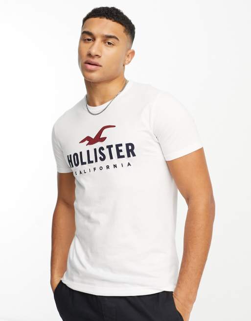 HOLLISTER Homme California Graphic T-Shirt Petit Blanc Géométrique Coton