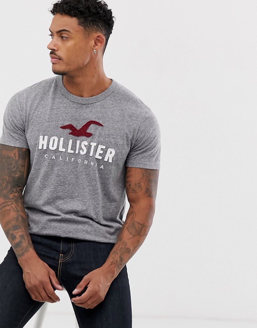 Hollister - T-shirt tecnica grigia con logo-Grigio