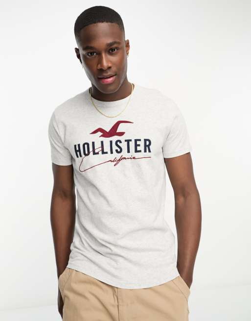 Hollister t shirt grau on sale