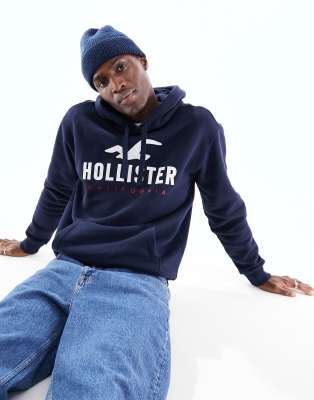 Hollister hoodie clearance navy