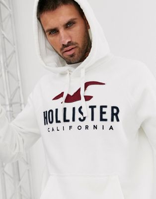 logo hoodie hollister