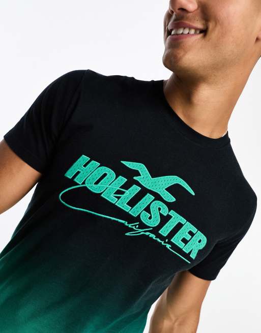 Hollister x ASOS exclusive centre logo ombre curved hem t-shirt in