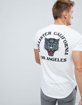 Hollister tiger logo t-shirt in white 