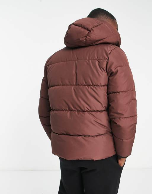 Hollister cosy coat outlet