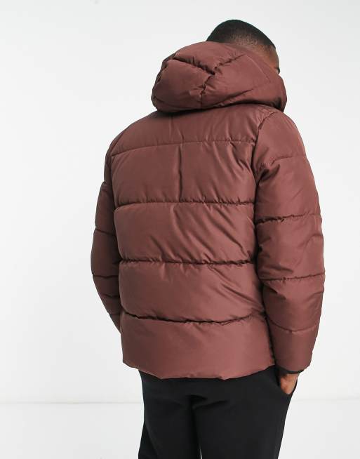 Hollister cosy lined hooded heavyweight puffer jacket in brown