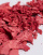 Thumbnail 4 van 4